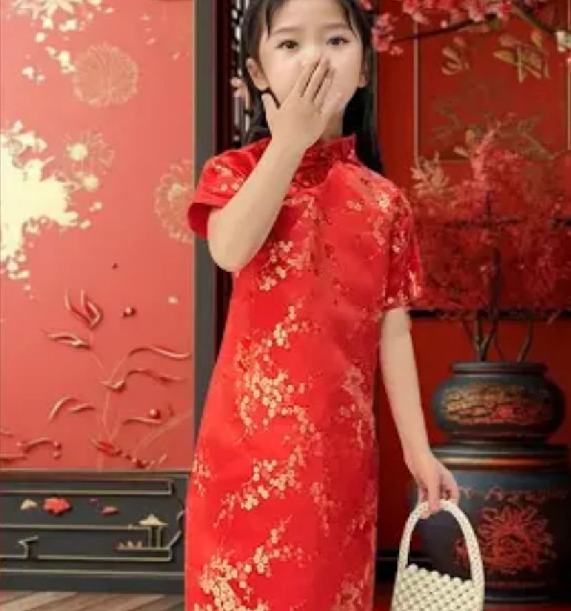 Chinese Dress
