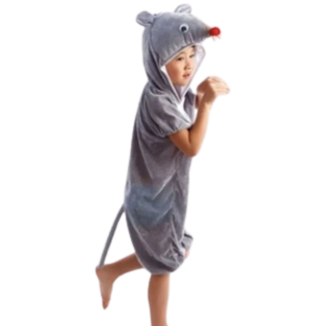 Mouse Costume