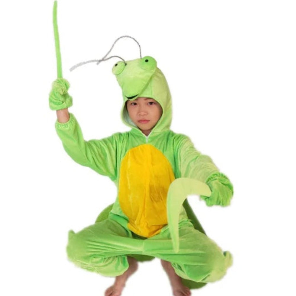 Praying Mantis Costume