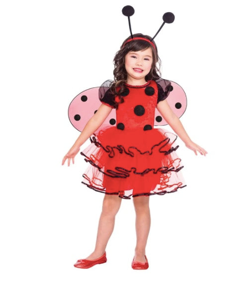 Ladybird Fairy