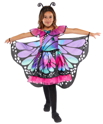Butterfly Costume
