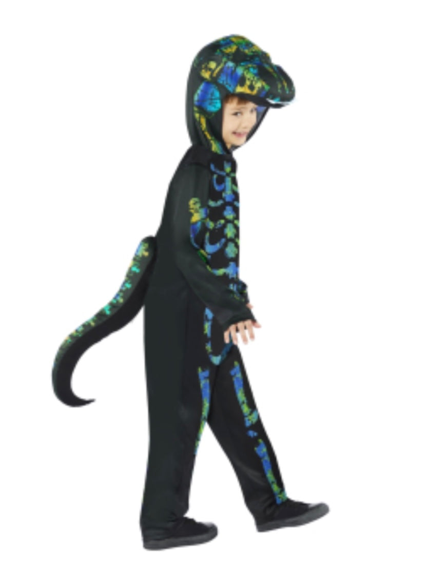 PRE-ORDER! Dinosaur Skeleton