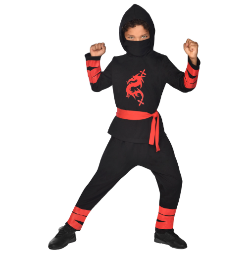 Ninja Warrior