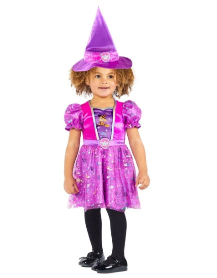 Paw Patrol Skye Witch Dress