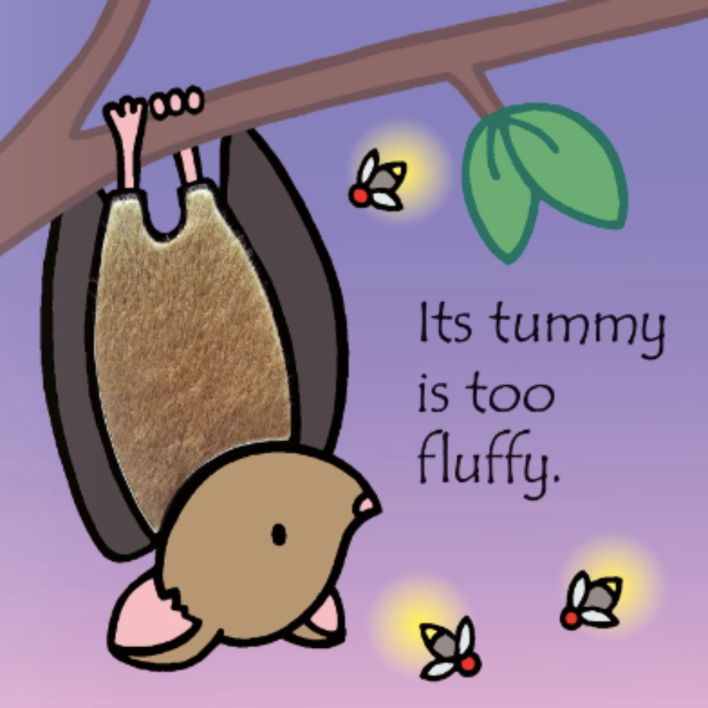 That's not my bat ... book by Usborne