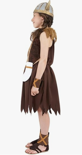 Viking Girl Costume