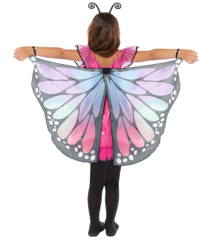 Butterfly Costume