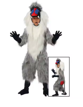 Rafiki Baboon Costume