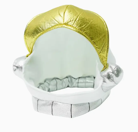 Silver Space Costume