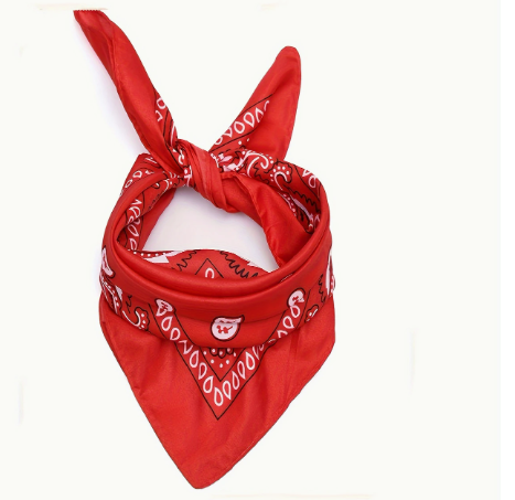 Western Cowboy Costume