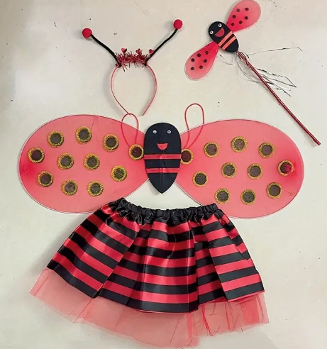 Ladybird Tutu Set