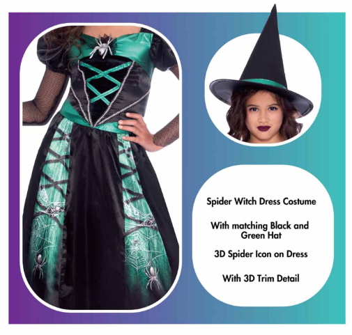 Spider Witch Costume