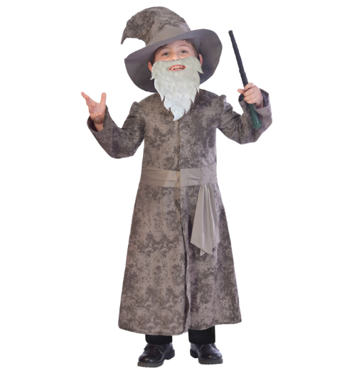 Wise Wizard Costume