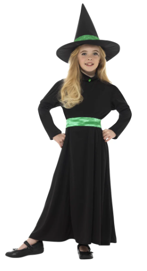PRE-ORDER: Wicked Witch Costume
