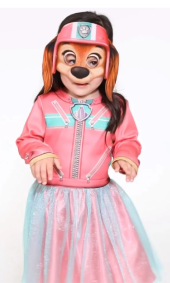 Paw Patrol Liberty Costume