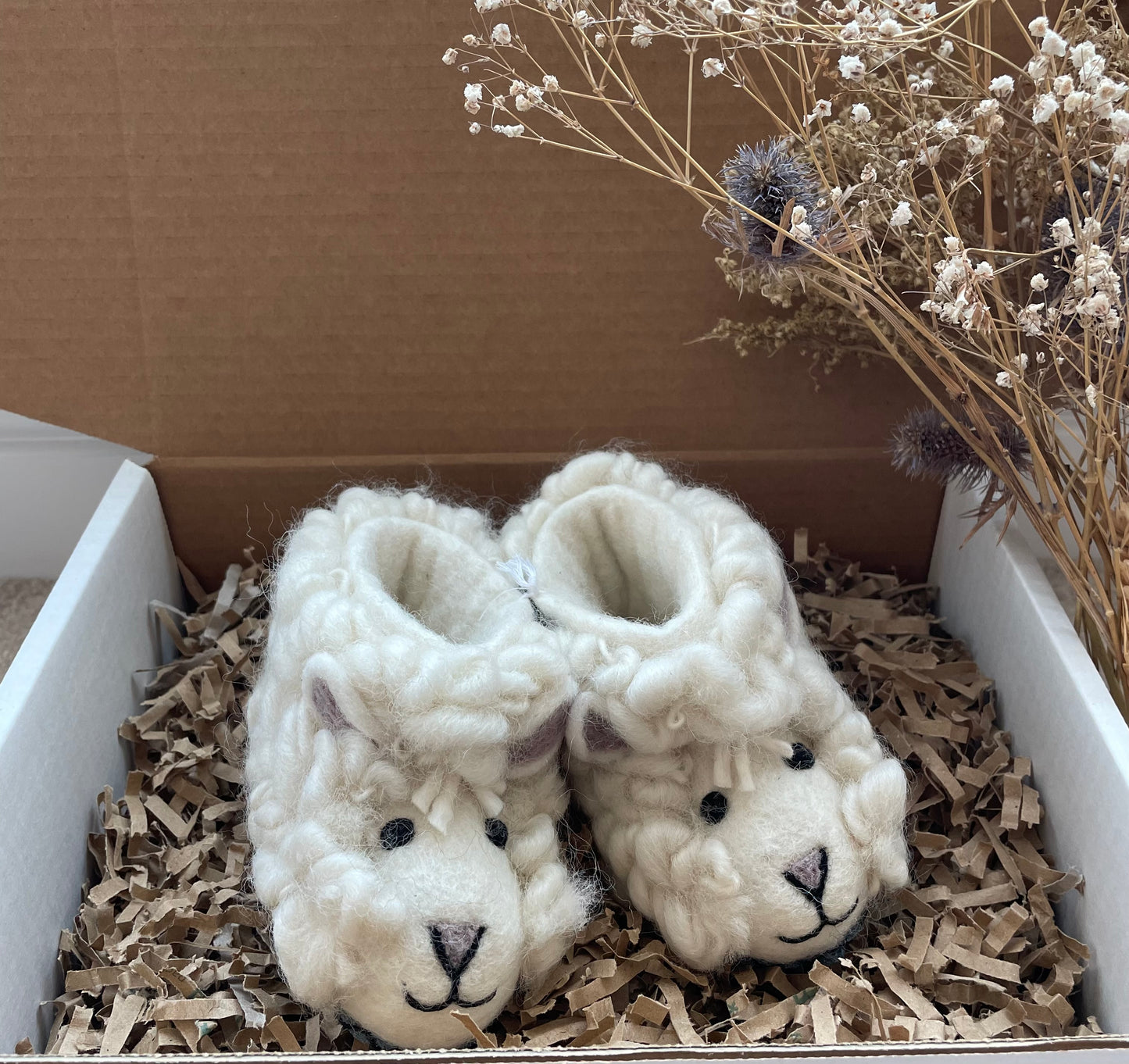 Shirley Sheep