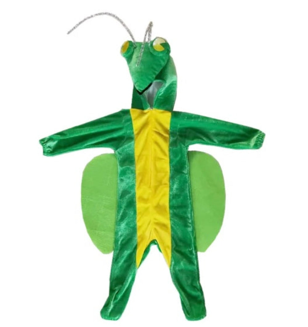Praying Mantis Costume