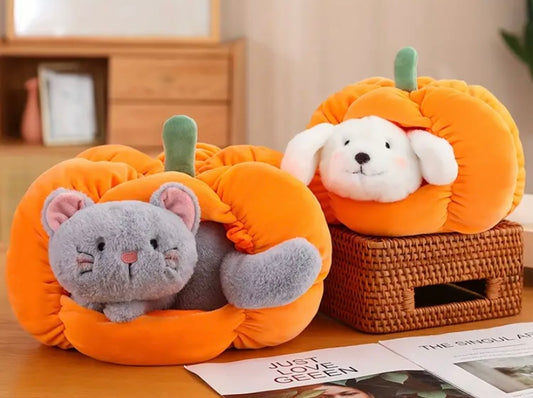 Pumpkin Pet House