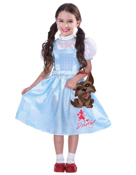 Dorothy costume wizard of Oz