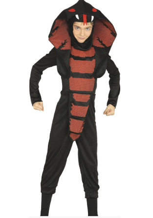 Cobra Ninja
