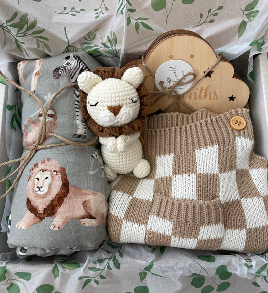 Little Lion Baby Gift Box