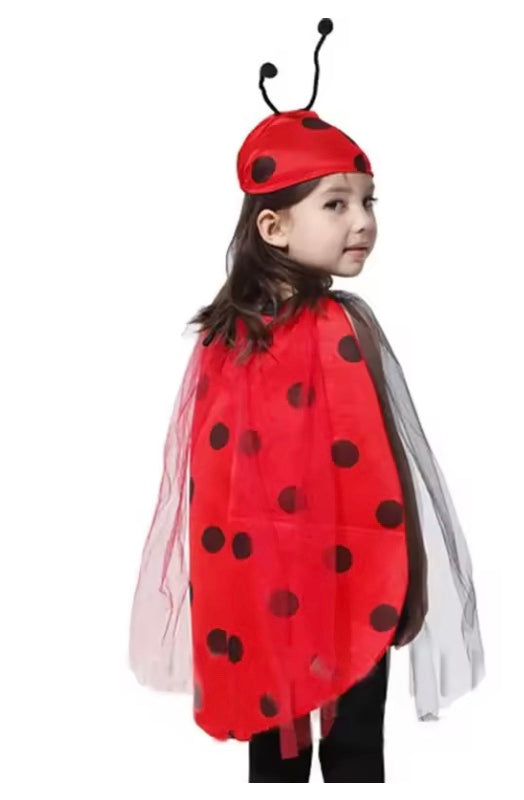 Little Ladybug Costume