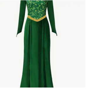 Princess Fiona Costume