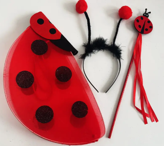 Ladybird Accessory Kit