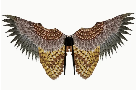 Owl Wings