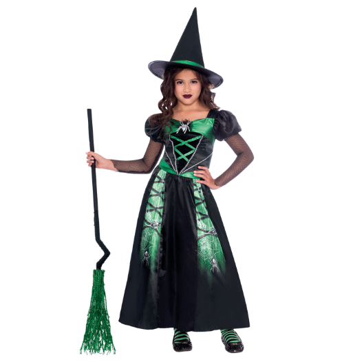 Spider Witch Costume
