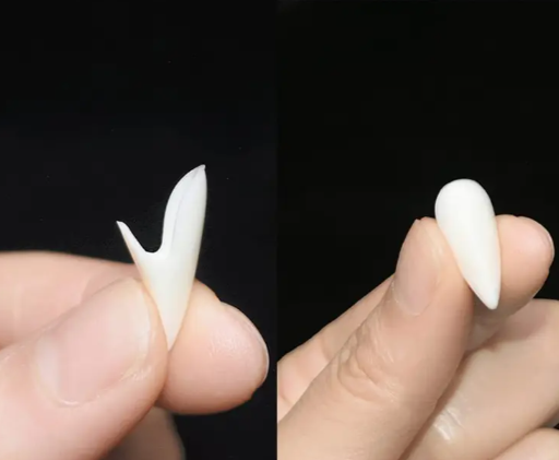 Vampire Fangs