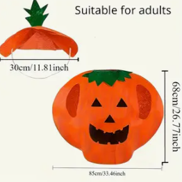 Halloween Pumpkin Costume