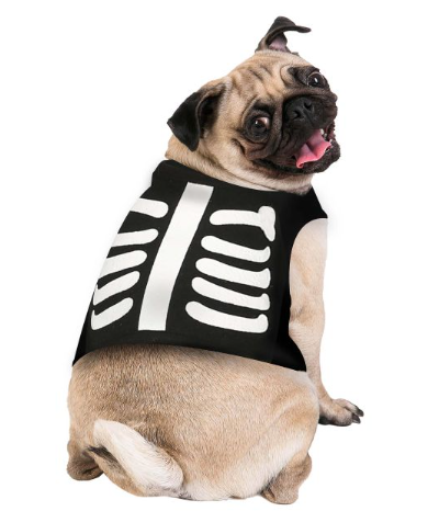 Pet Skeleton Costume