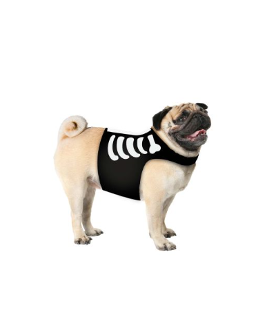 Pet Skeleton Costume