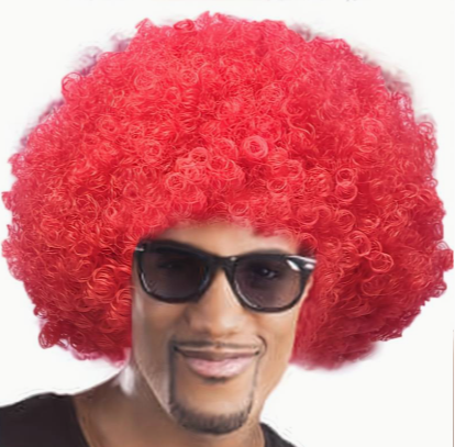 Curly Afro Wig