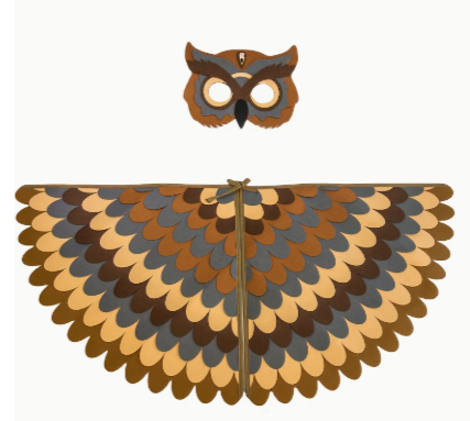 Owl Wings & Mask Set