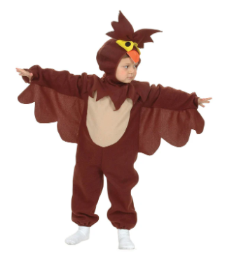 Owl Costume