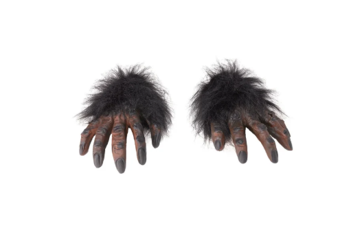 Brow Hairy Hands