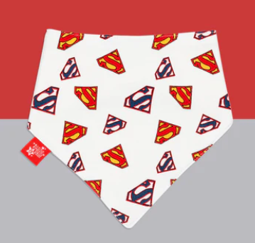 Superman Bibs - Set of 2