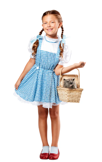 Sequin Dorothy