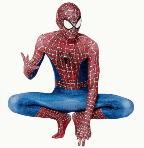 Spidey Costume