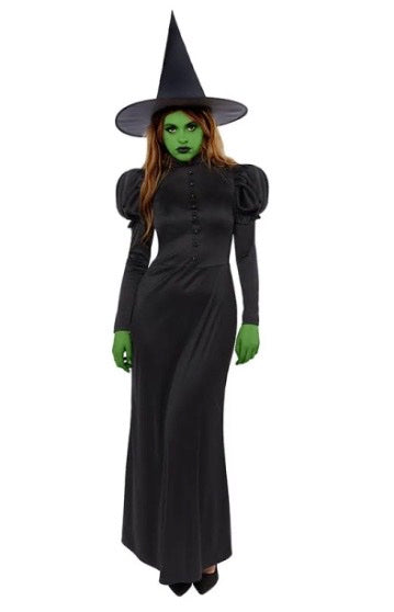 Wicked Witch Women's Costume