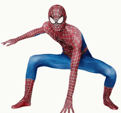 Spidey Costume